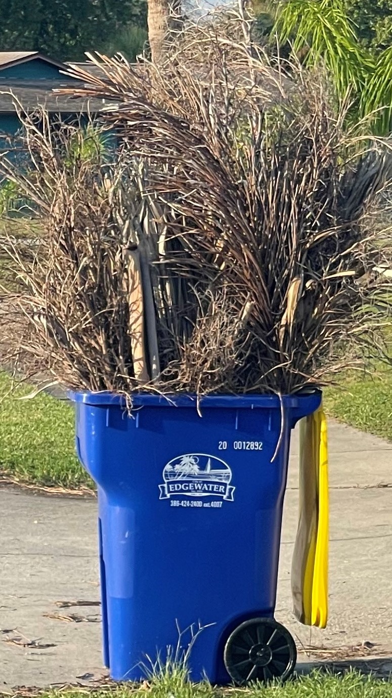 Contained Yard Waste in COE Can