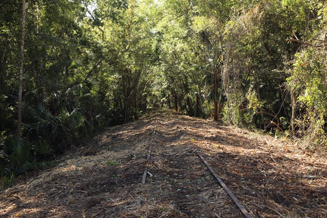 Southeast Volusia Rails to Trails