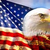 American Flag art