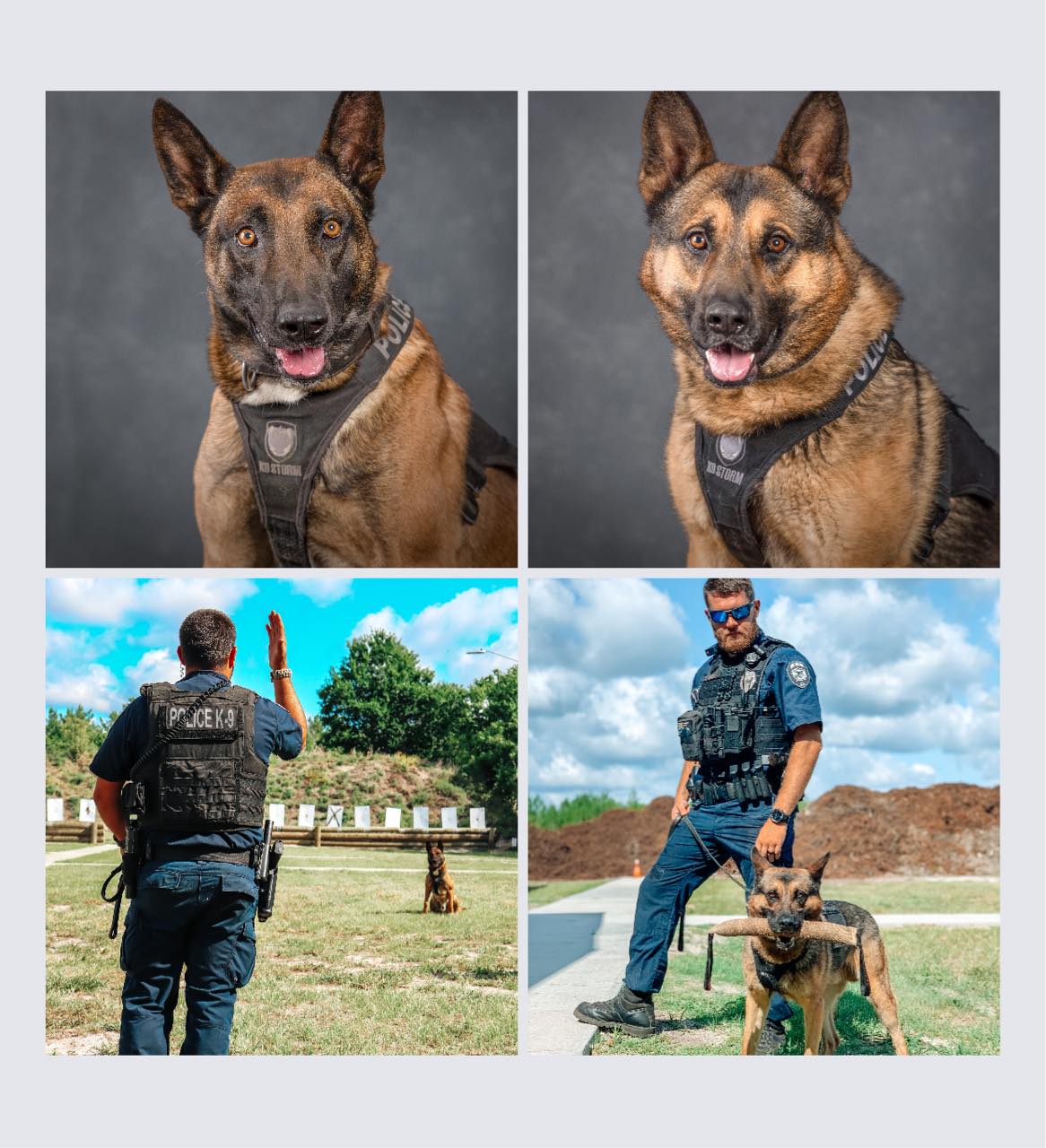 K9