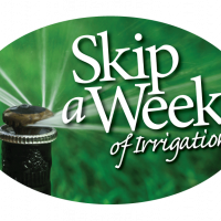 Skip a Week