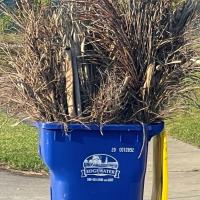 Contained Yard Waste in COE Can