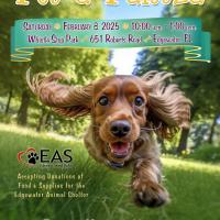 Pet Flyer