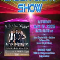 Laser Light Show Flyer