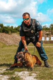K9