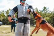 K9